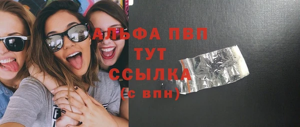 прущие грибы Болотное