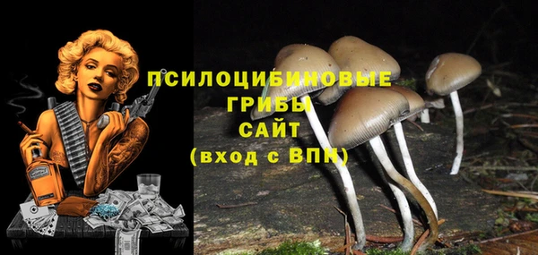 молекула духа Абаза